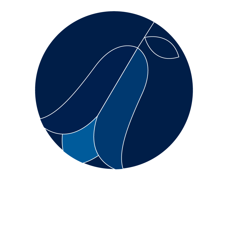 Copihue Azul